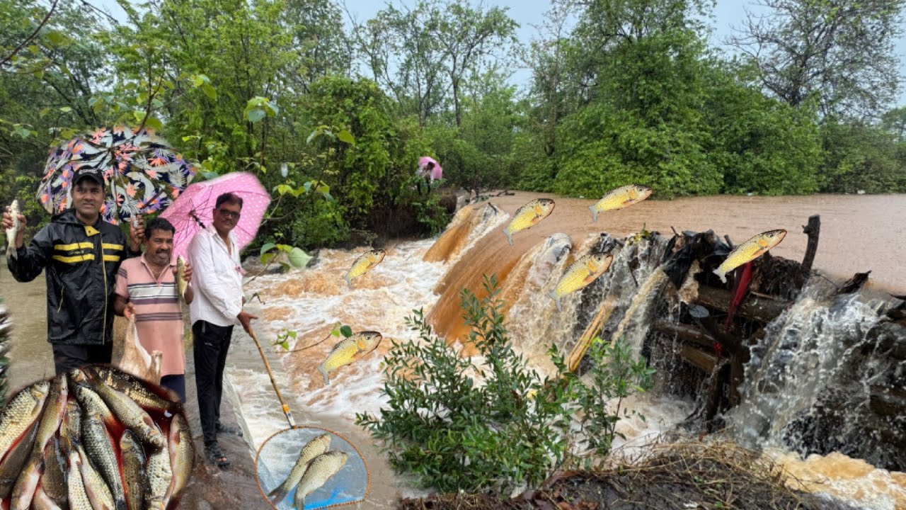 चडणीचे मासे पकडाईला गेलो कासारडे गावात आणि पावसाने लावली सगळी वाट 🤨#chadnichemase