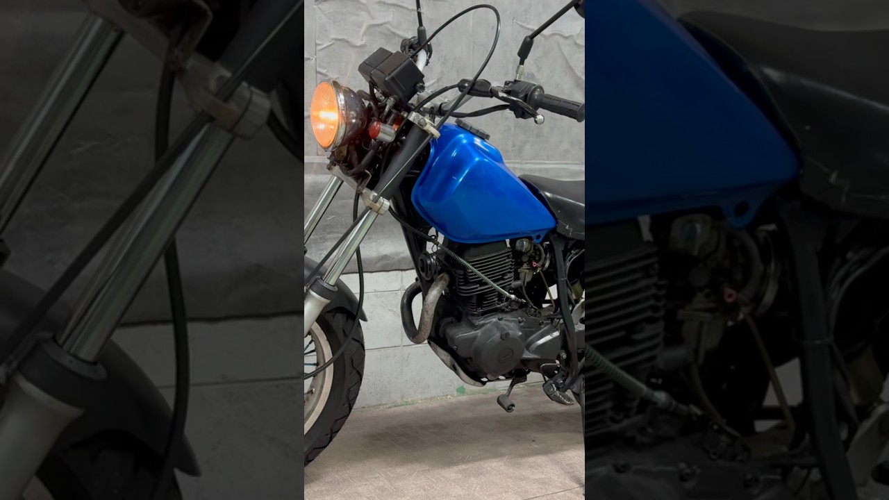 ヤマハ TW200 1996年モデル ノーマルルック B700657| BDSバイクセンサー