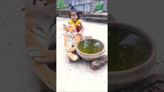 সোনাই এর পুকুরে বাঘ জল খাচ্ছে | #shorts #viral #funny #cute #baby #reels #sonai
