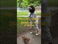 шотакоешотакое? #приднестровье #прикол #тесса#лораайболитовна