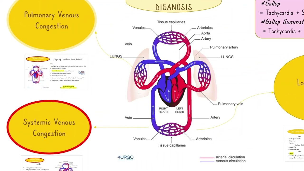 Heart Failure in Pediatrics (7)
