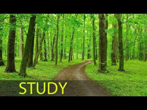 3 Hour Concentration Music: Study Music, Focus Music, Exam Music, Calming Music, Relaxation 1698 - 3 Hour Concentration Music: Study Music, Focus Music, Exam Music, Calming Music, Relaxation 1698