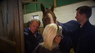 Ecurie Triptych - Visite Au Haras Du Bois Dargile, 30.09.17