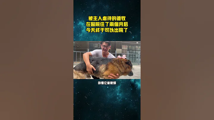 7300元的善举，挽救了狗狗的性命，它们感恩地往怀里钻，一切都是值得的！ - 天天要闻