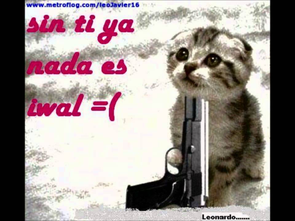 ya te olvide mrblack