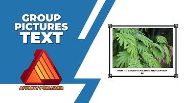 How to group pictures and text in affinity publisher