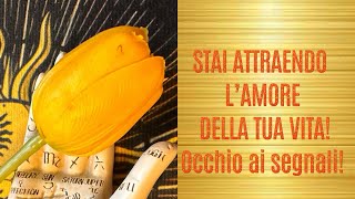 Download Lagu STAI ATTRAENDO L’AMORE DELLA TUA VITA!Occhio ai segnali!#tarocchi#segnizodiacali#amore  MP3