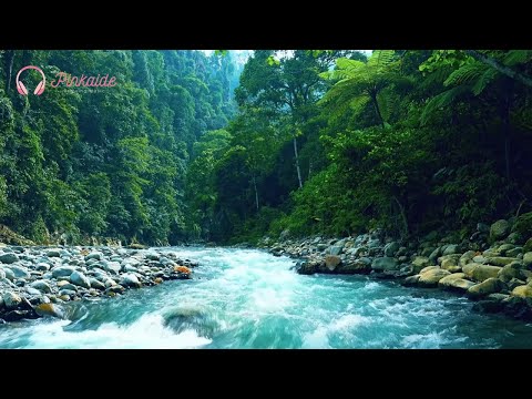 Piano Flowing Over a Stream – Piano Music for Sleep and Relaxation, No AI, Organic Sound 🎵