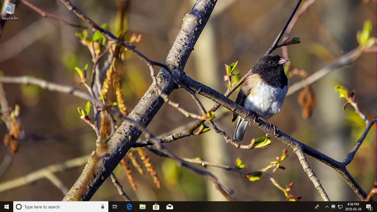 Enable Or Disable Always Prompt For Password Upon Remote Desktop Connection To Windows 10 YouTube