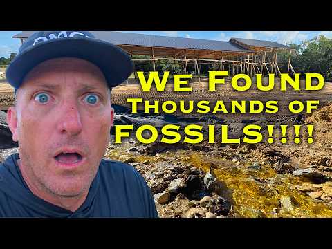 We Found FOSSILS and an UNDERWATER SPRING while Building Our New Pond! "The Sanctuary!" Ep. 7