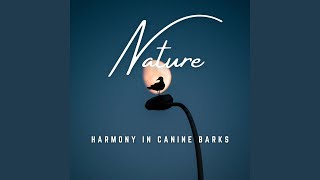 Bark in Tranquil Harmony