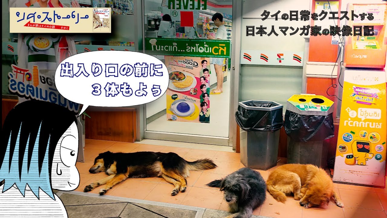 【チェンマイの夜】あるセブン犬のしぶとい生きざま【小林眞理子のタイ王国Vlog】