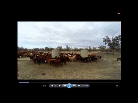 Tony Lovell - Savory Institute Putting Grasslands to Work Conference