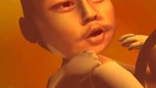 kompilasi bayi lucknut/laknat