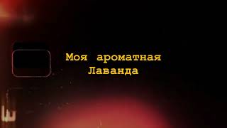 Шалих — Лаванда (Lyric Video)