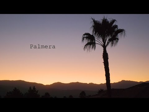 palmera---raf-camora-type-beat---free-download