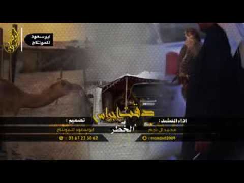 شيلة دقت اجراس الخطر اداء محمد ال نجم 