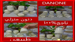 DANONE  ناجح %100 طريقة تحضير دنون منزلي طبيعي وصحي بكمية كبيرة