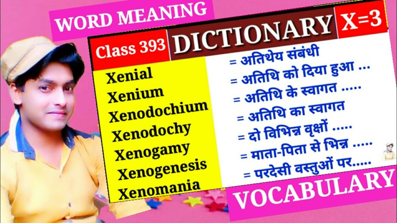 DICTIONARY X Class 393 X Part 3 Vocabulary Words Lovely
