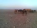 ربابة كاظم عساف البعيجي