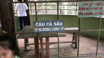 Cá Sấu Rừng Sác