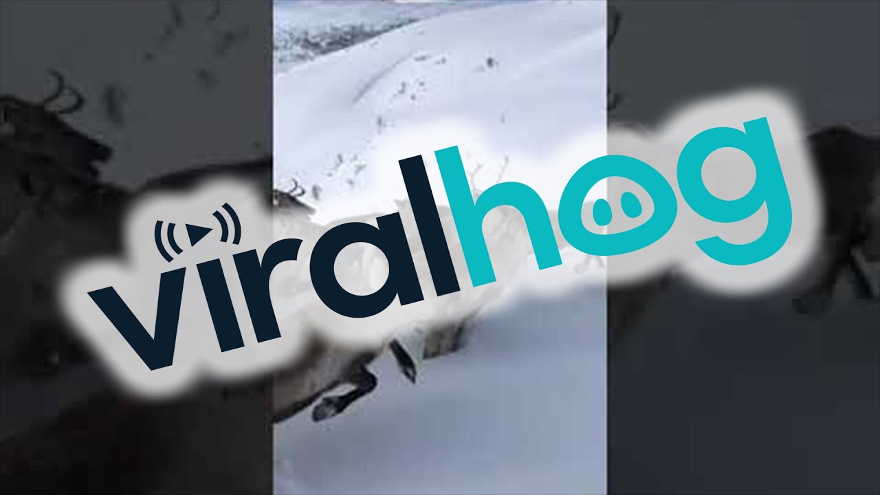 Racing the Reindeer on Skis || ViralHog