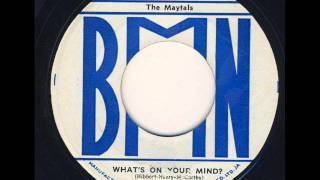 The Maytals - What&#39;s On Your Mind