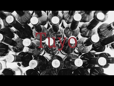 Tuyo (Violin Guitar Trio / Narcos Theme) - Rodrigo Amarante