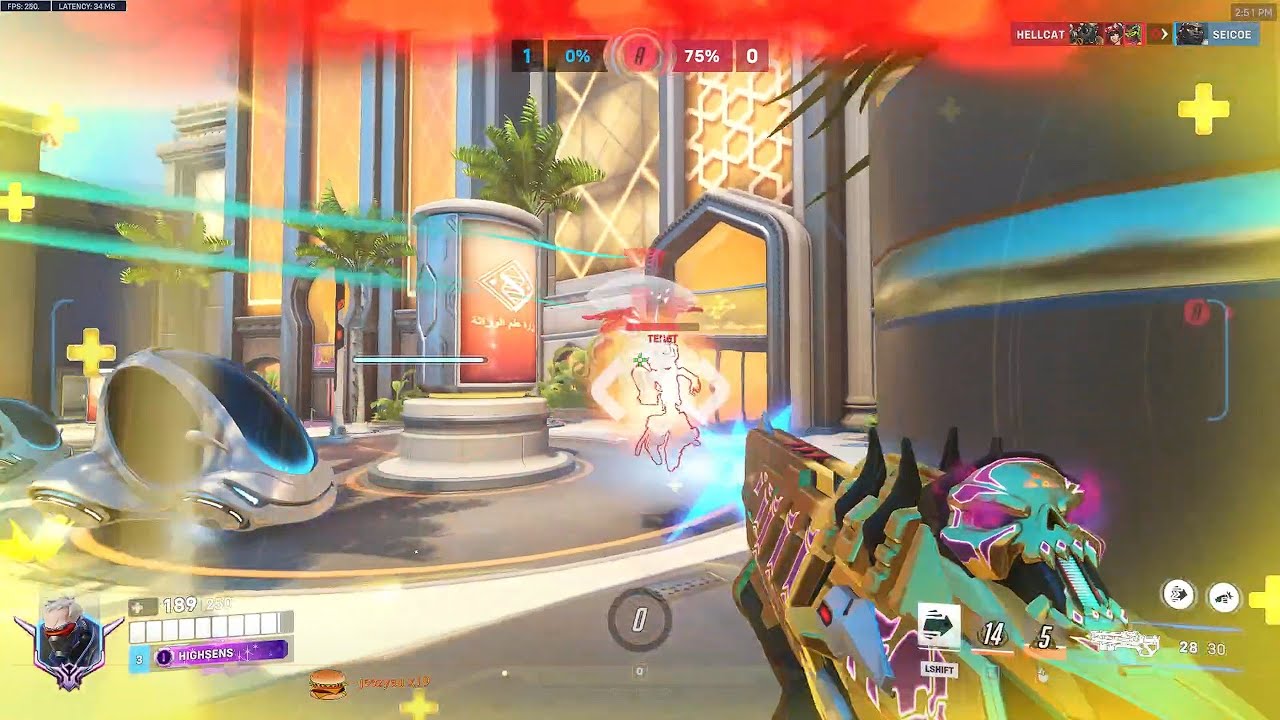 Dafran Freja + Soldier 76 Overwatch 2 Season 19 Top 500