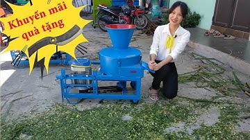 Đánh Giá Chi Tiết Về Máy Băm Chuối Đa Năng Bình Quân 2021