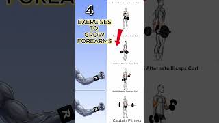 Dumbbell Exercises to EXPLODE Your Forearm Growth 😳#forearm