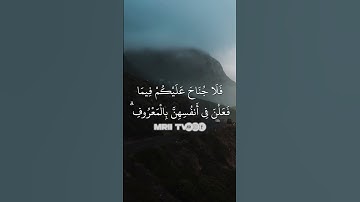 ماهر المعيقلي - سورة البقرة ( برواية حفص عن عاصم ) الأية 234