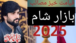 Zakir Syed Farrukh Abbas Shah Bazar E Sham