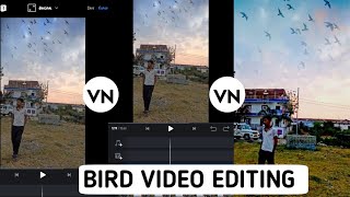 BIRD PNG VIDEO EDITING VN VIDEO EDITOR APP || VN VIDEO EDITING TUTORIAL || COLOR GRADING screenshot 5