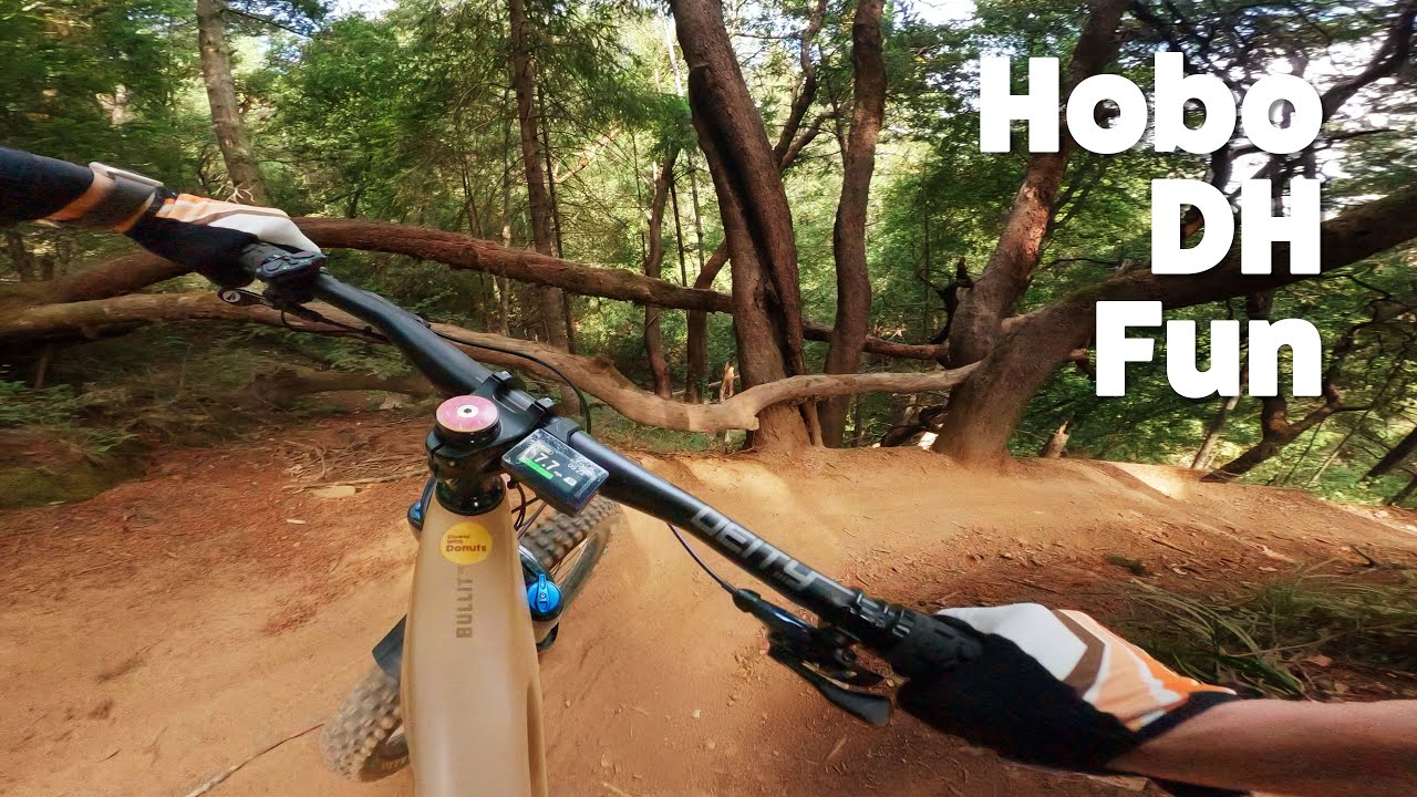 Hobo DH MTB Trail - Camp Tamarancho, Fairfax CA