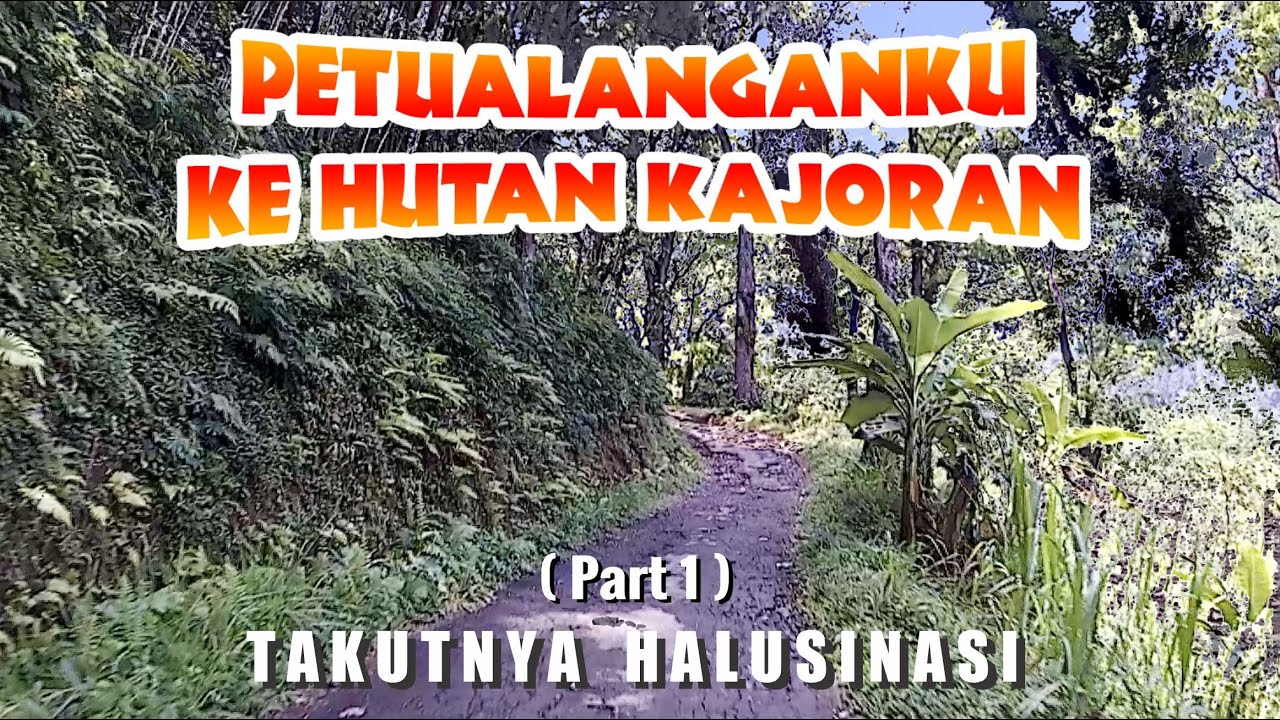 MASUK HUTAN! PETUALANGANKU KE PEGUNUNGAN DI KAJORAN MAGELANG