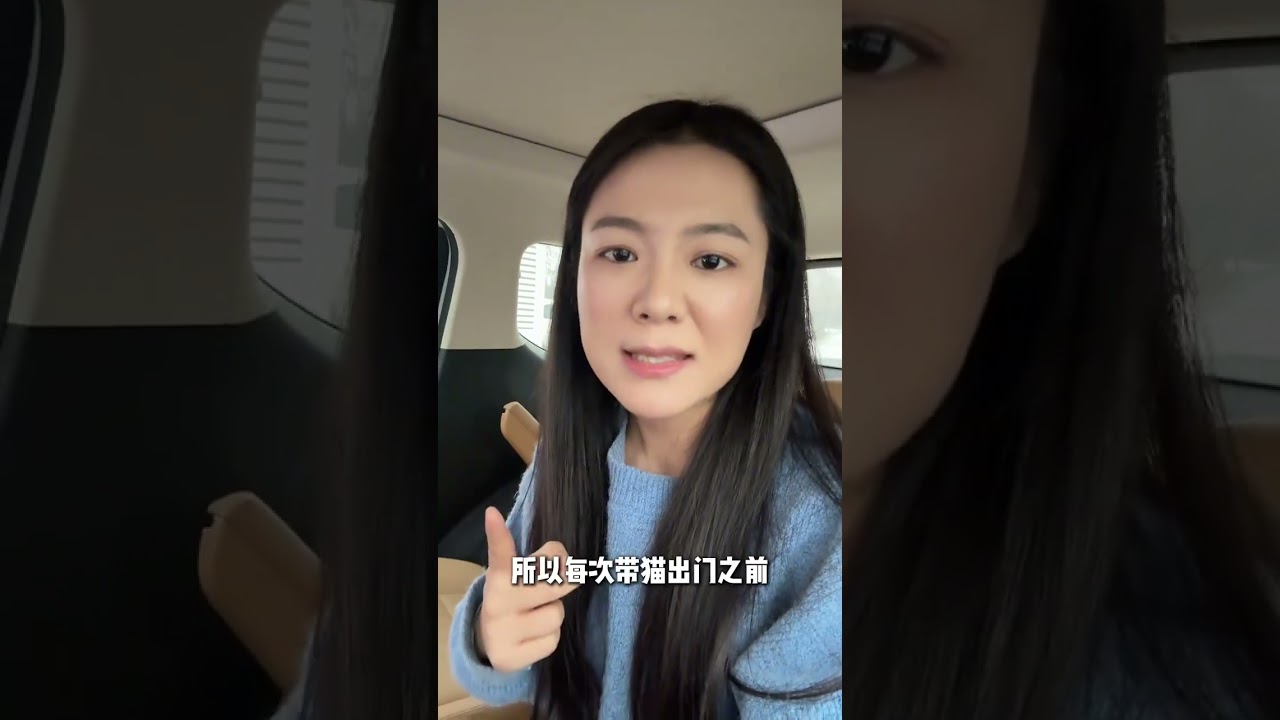 Once a cat is in an emergency the consequences are really beyond the capacity of cat owner