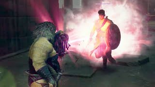 A Man Immune to Medusas Petrifying Rays - Dragons dogma 2