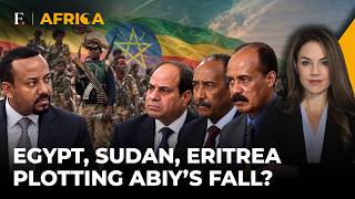 ‘TPLF Backed by Egypt, Sudan, Eritrea’: Ethiopia Claims Foes Target Abiy’s Regime | Firstpost Africa