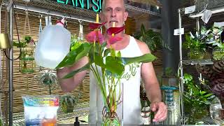 How To Care For Your Plant Daddy Hydro Plant