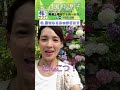 【旅サラダ】ゲスト・ #国仲涼子 が旅をします！ #旅サラダ #shorts