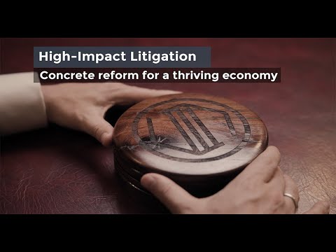 How High-Impact Litigation Can Be Used For Concrete Reform