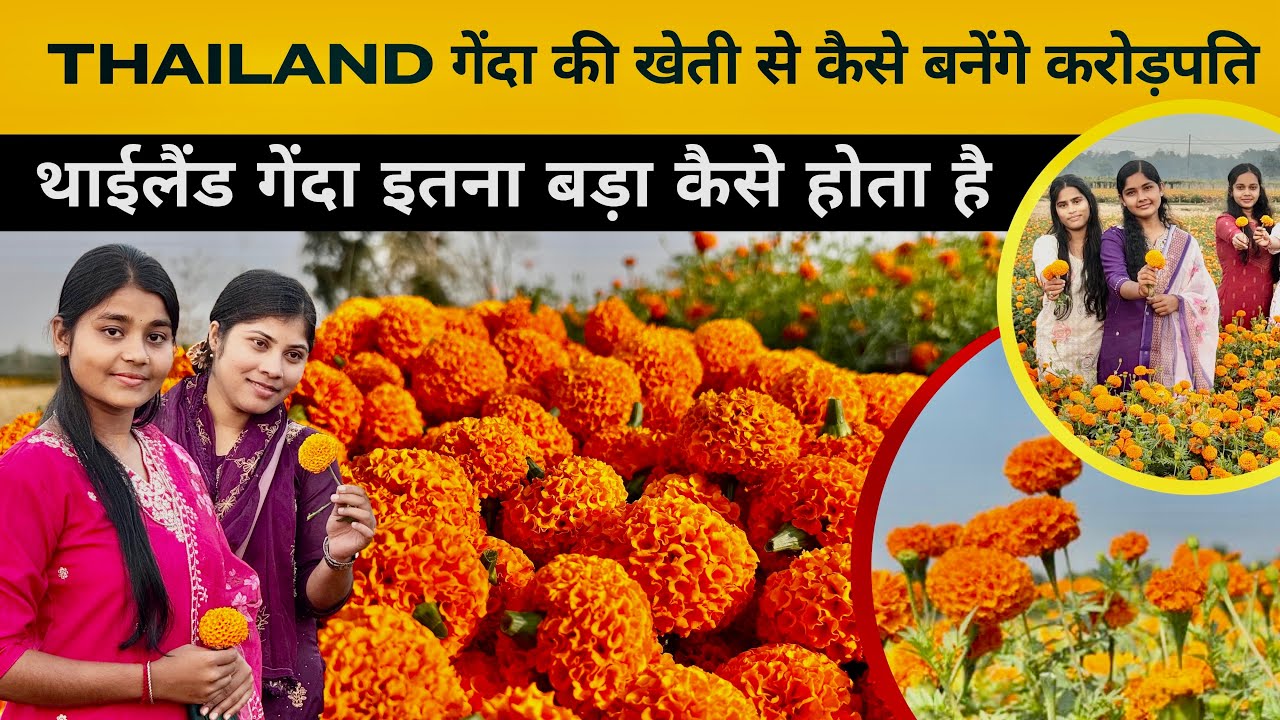 थाईलैंड