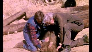 Screencapture Video MacGyver - Life With You