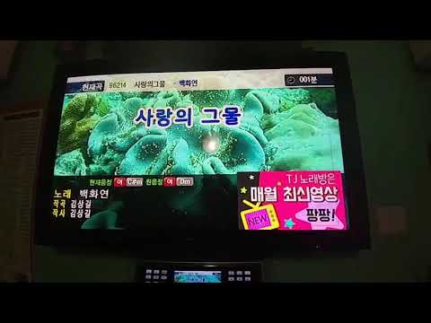 사랑의 그물 이승연 원곡백화연 