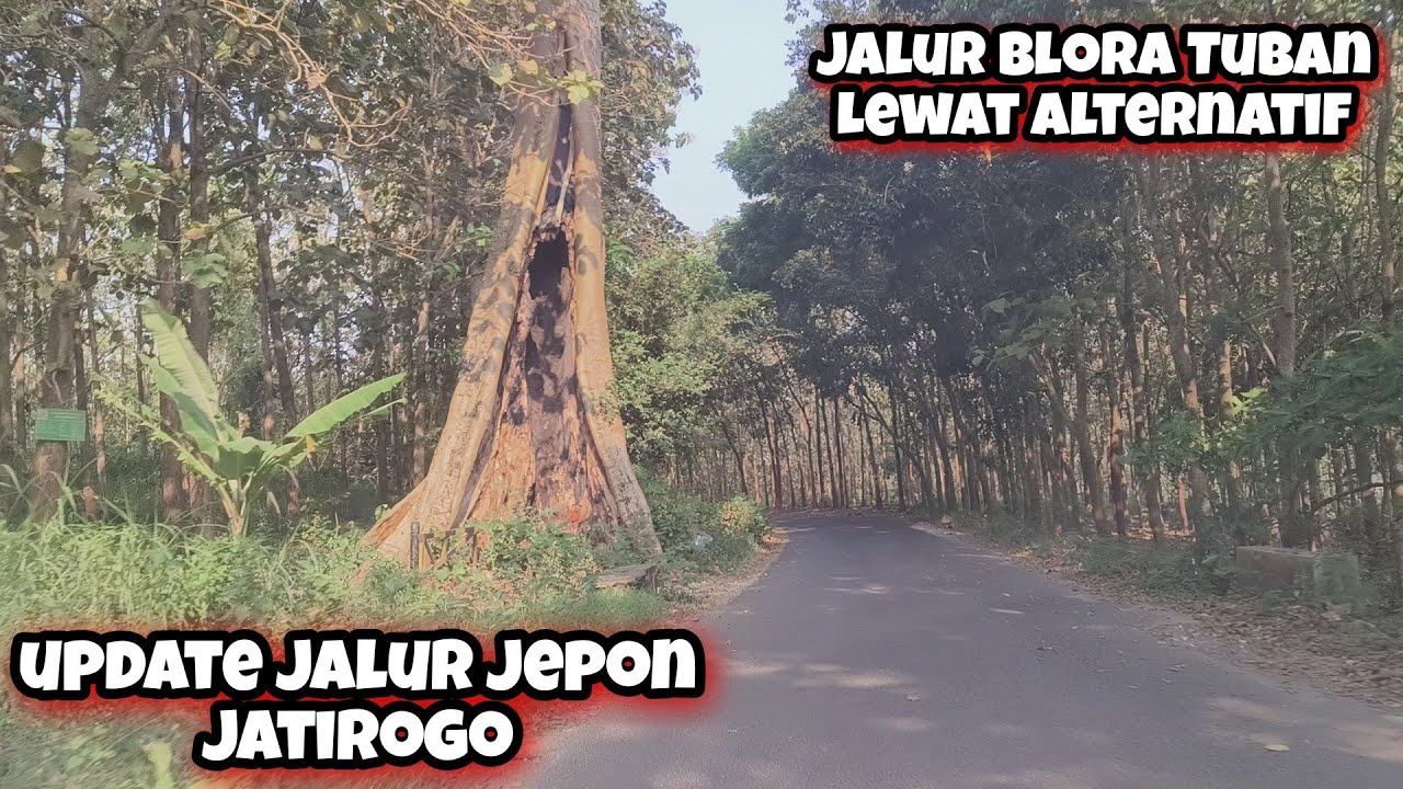 Full Perjalanan Jalur Blora Tuban Lewat Jepon Jatirogo Waspadai Beberapa Titik Kerawanan Part 01