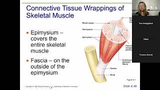 Anatomy of the Muscular System MBLEx Review - a SHORTIE introduction to muscle cells