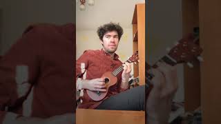 The Eels - A swallow in the sun [Ukulele Cover]