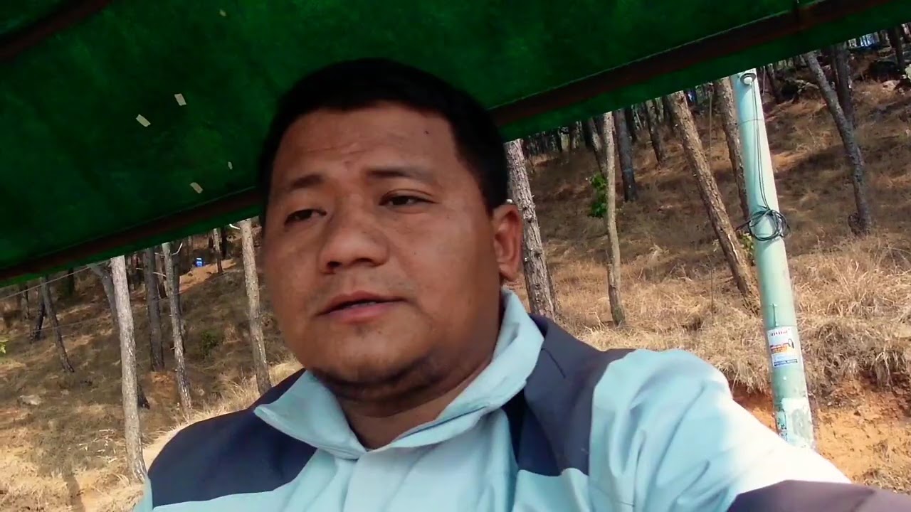 #minivlog #palpatansen 