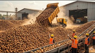Inside a Modern Coconut Processing Line: How Premium Coconut Milk Is Made (Full Process)